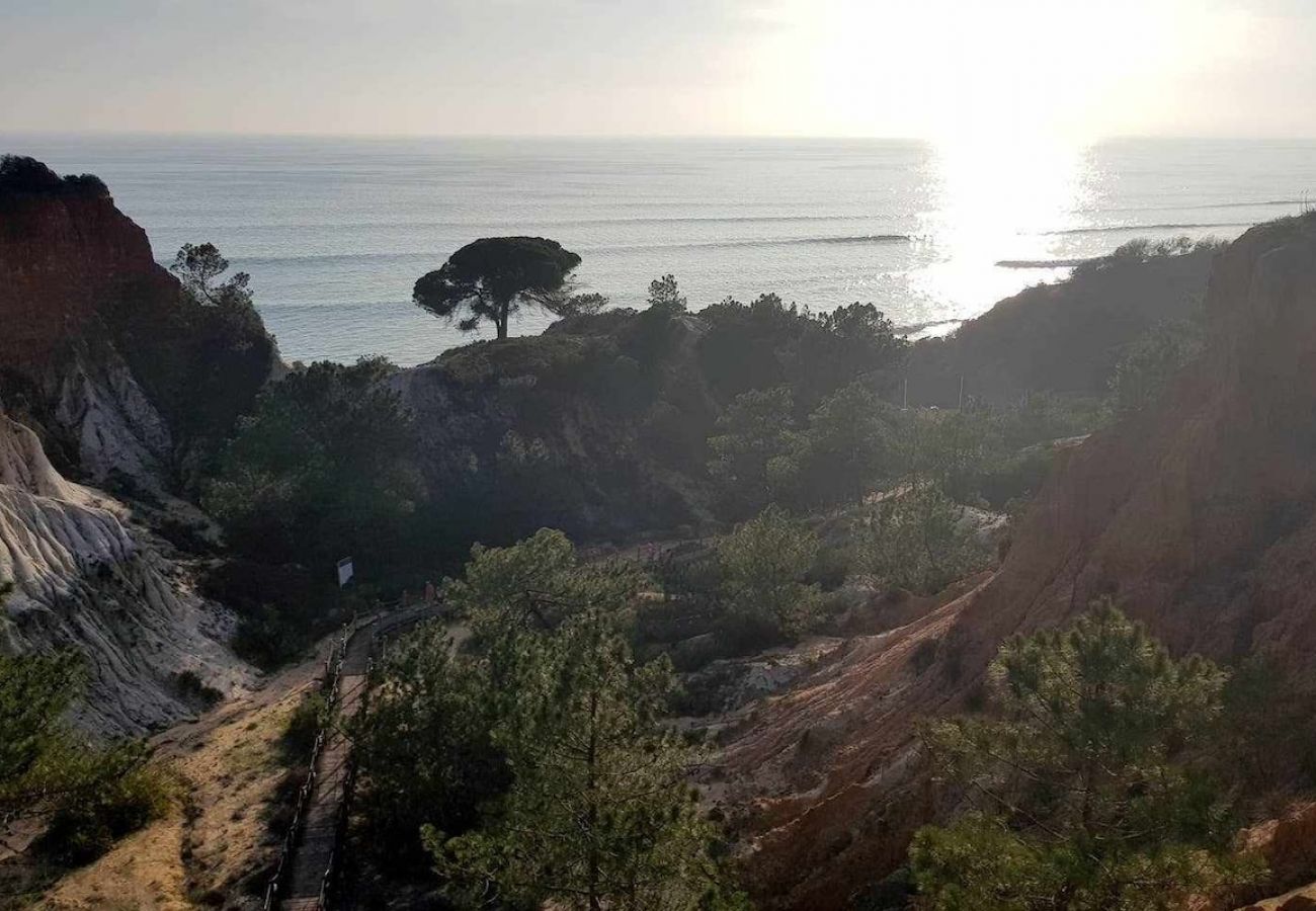 Apartamento en Albufeira - Albufeira Ocean Balcony (23)