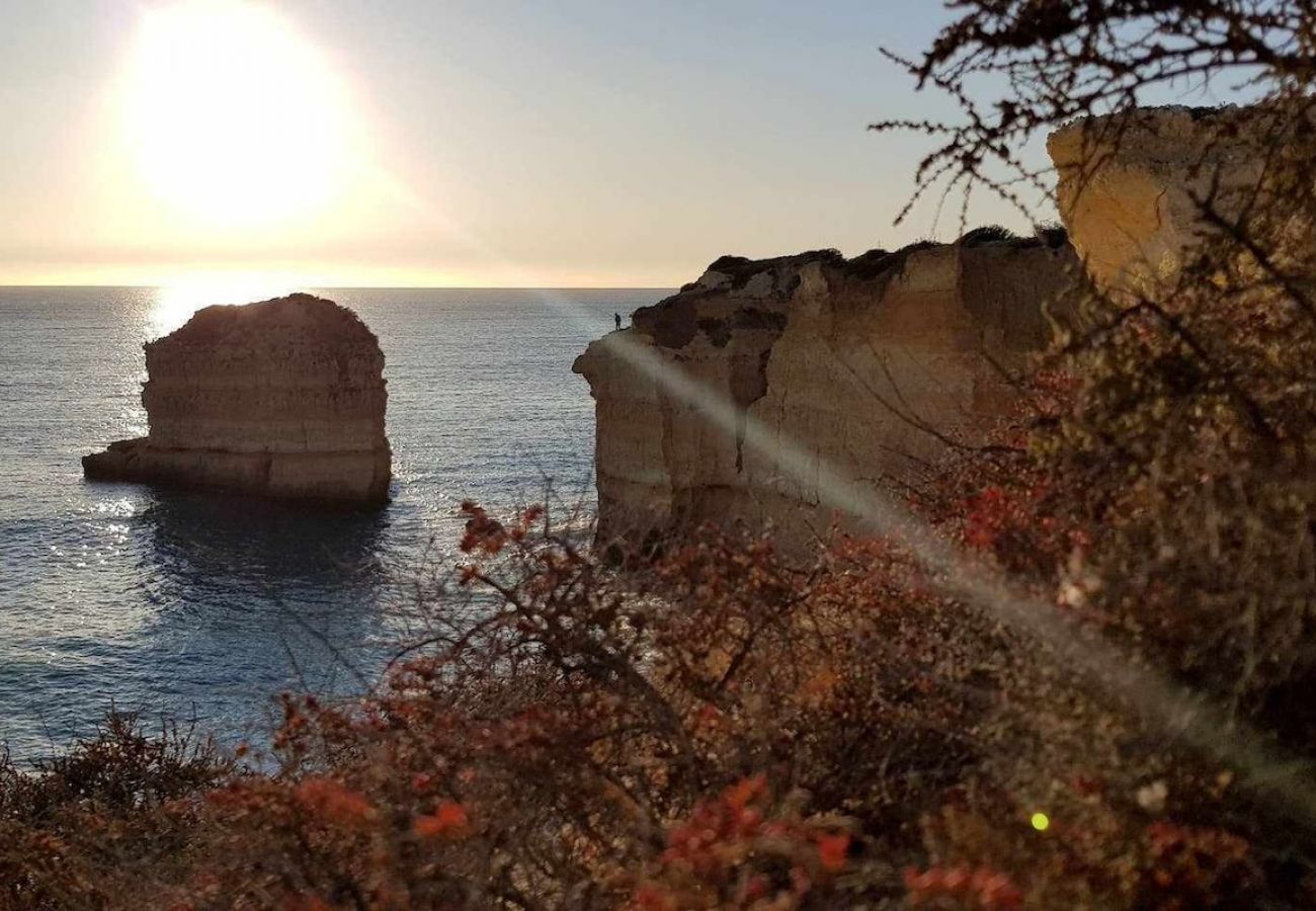 Apartamento en Albufeira - Albufeira Ocean Balcony (23)