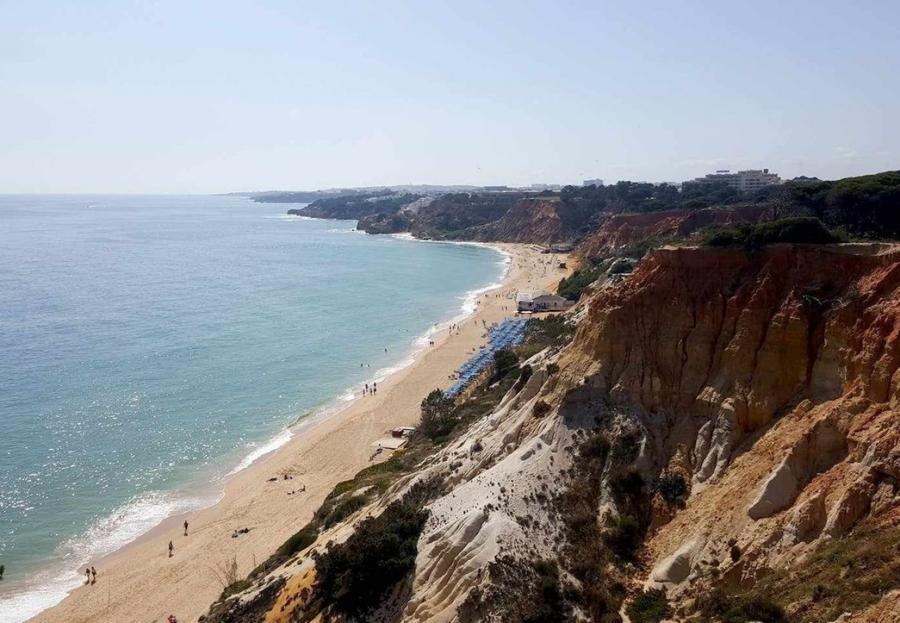 Apartamento en Albufeira - Albufeira Ocean Balcony (23)