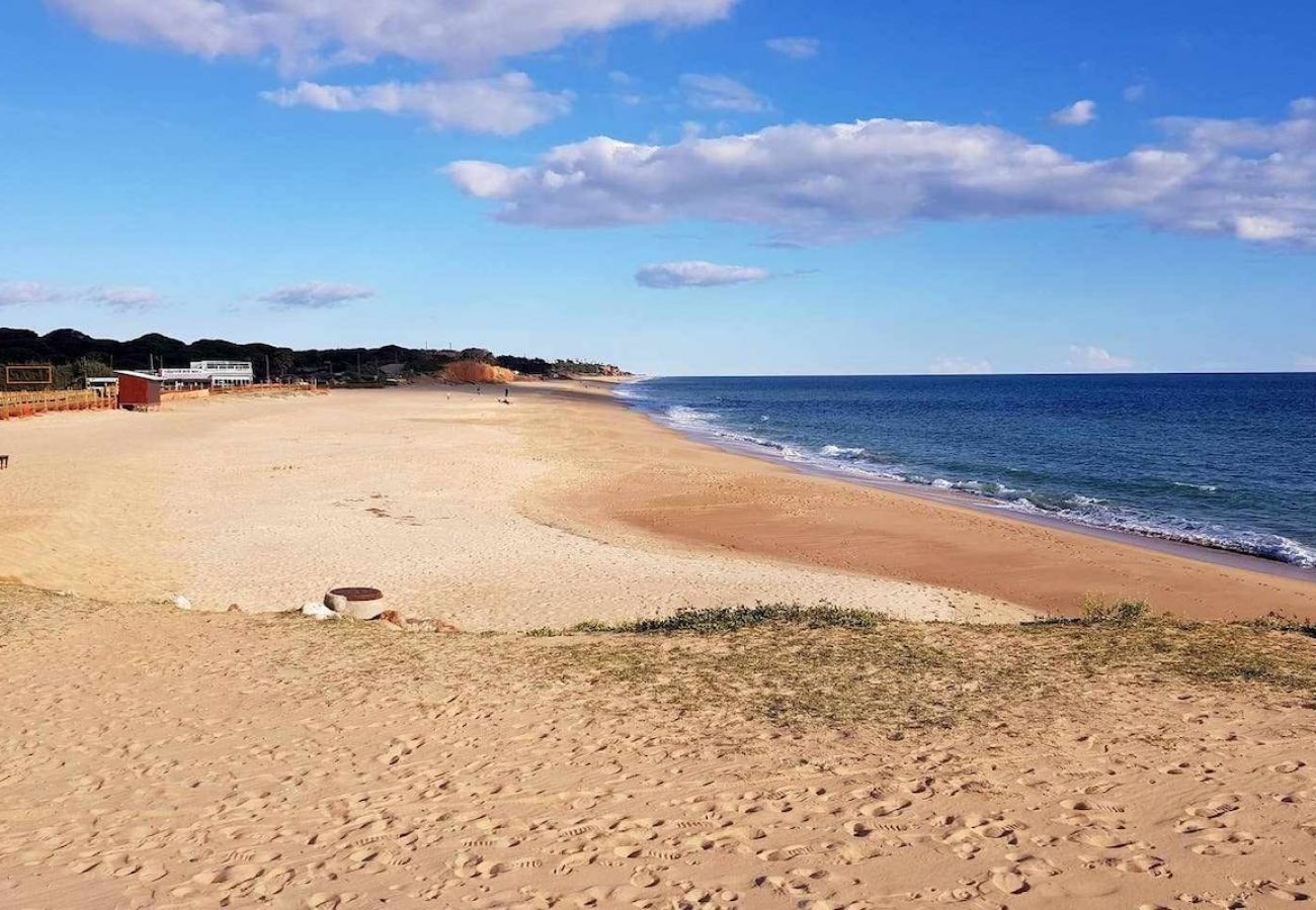 Apartamento en Albufeira - Albufeira Ocean Balcony (23)