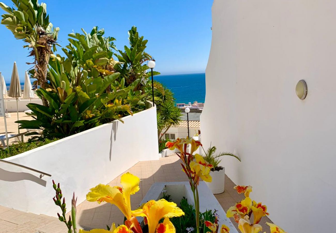 Apartamento en Albufeira - Albufeira Ocean Balcony (23)