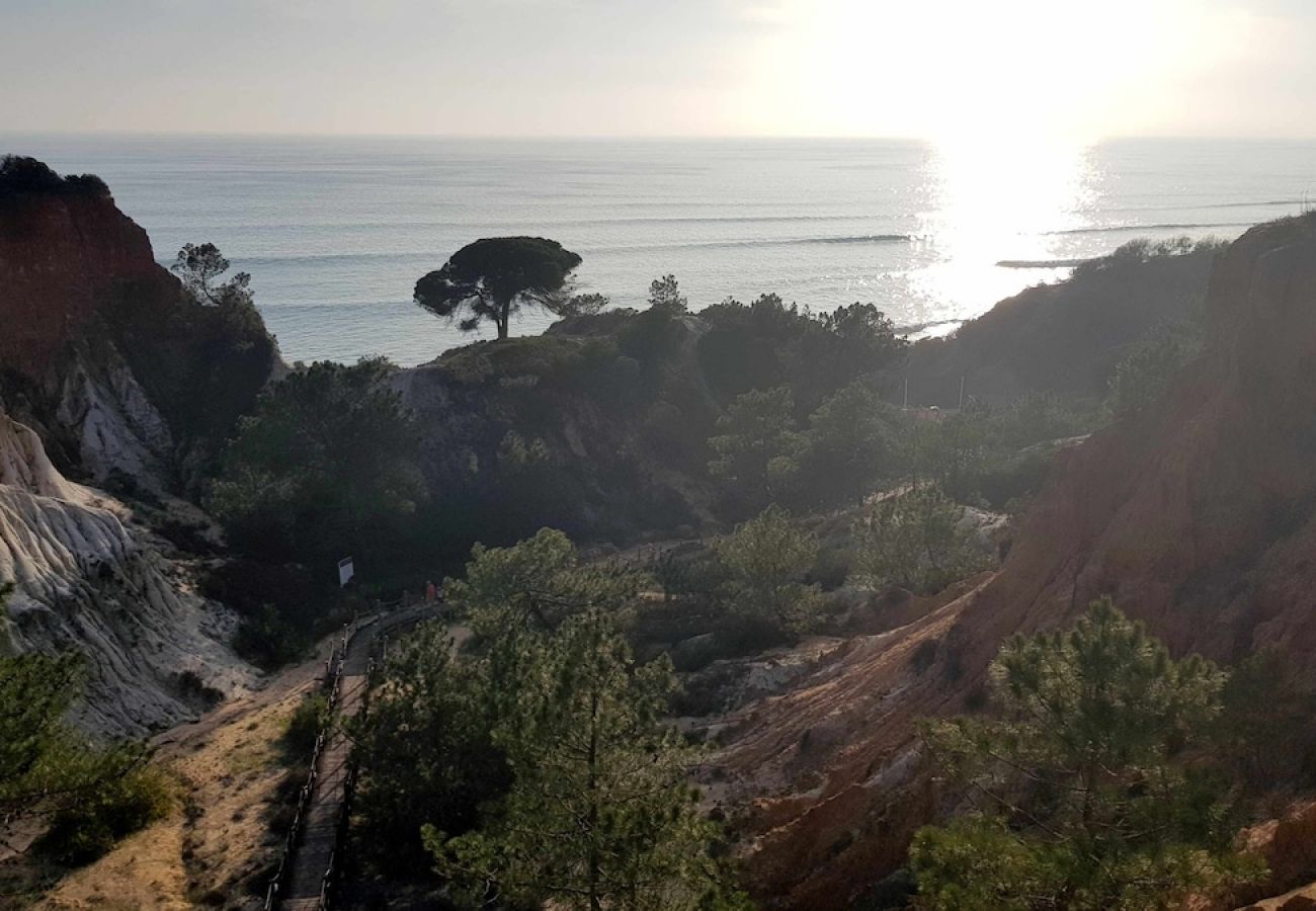 Apartamento en Albufeira - Albufeira sea view (52)