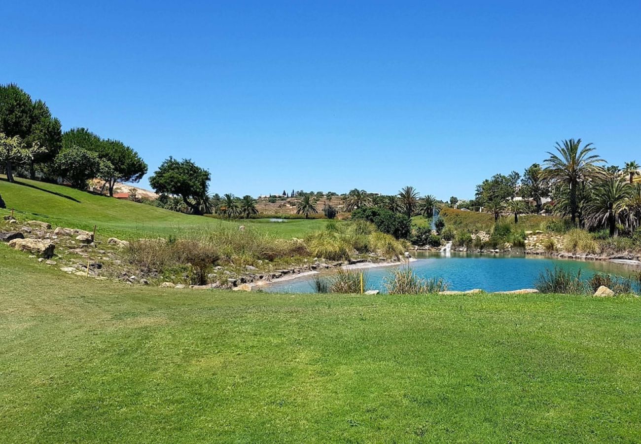 Apartamento en Albufeira - Albufeira sea view (52)