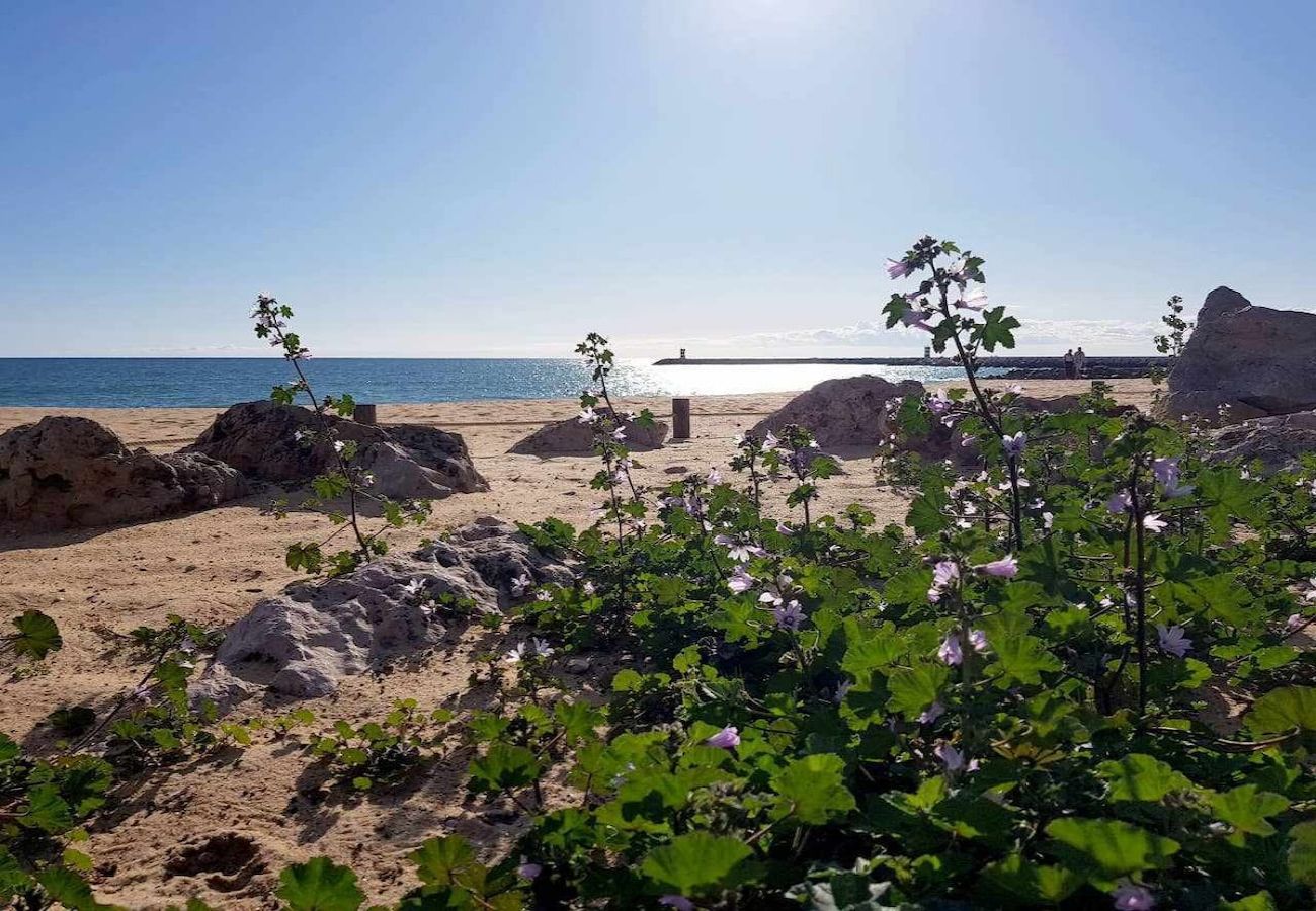 Apartamento en Albufeira - Albufeira, Ocean Balcony (63)