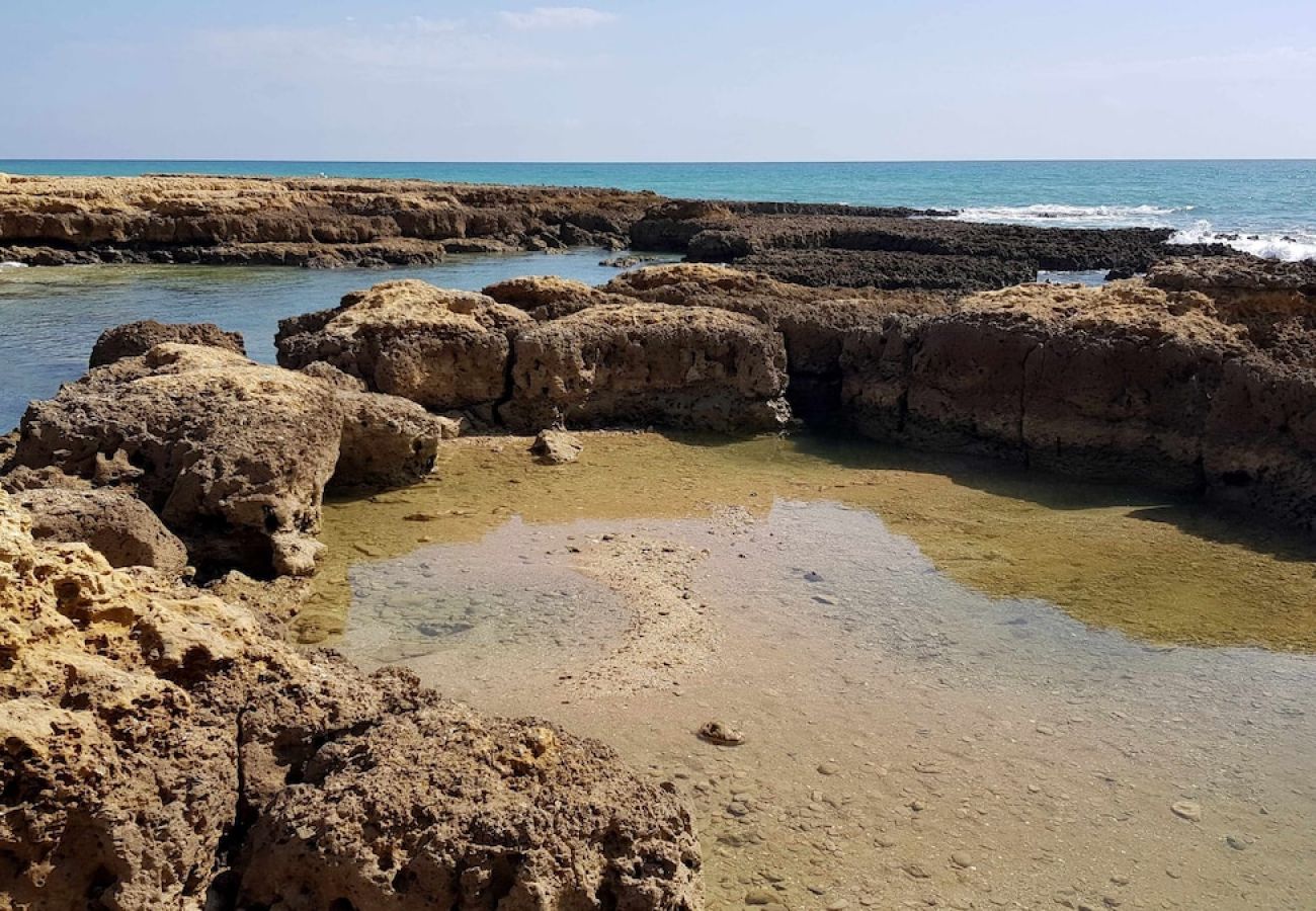 Apartamento en Albufeira - Albufeira, Sea View (25)