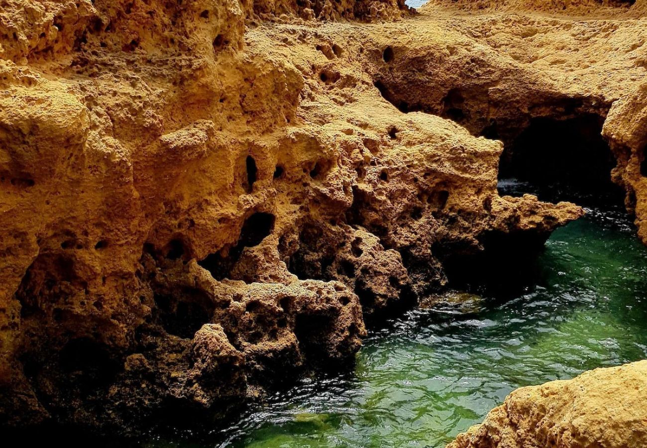 Apartamento en Albufeira - Albufeira, Sea View (25)