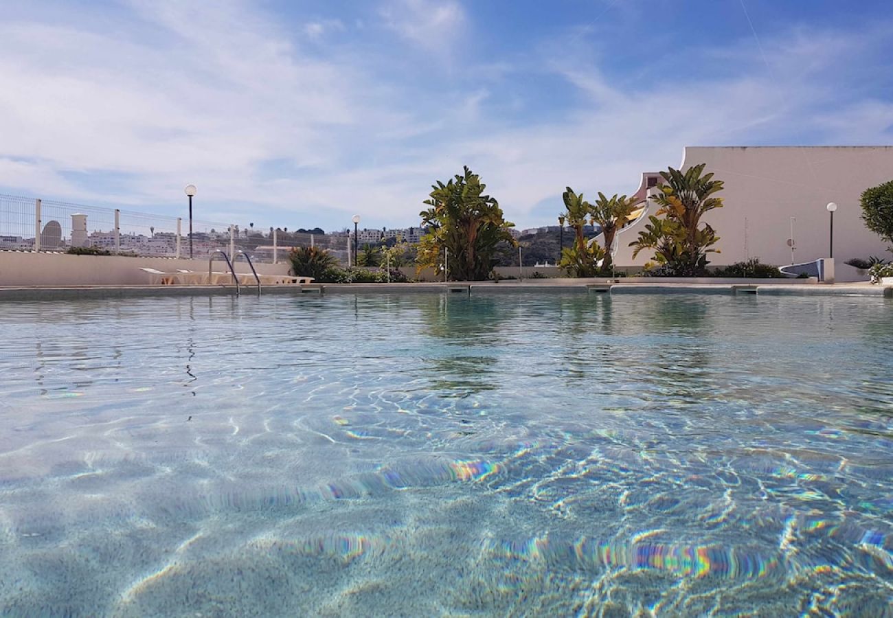 Apartamento en Albufeira - Albufeira, Sea View (25)