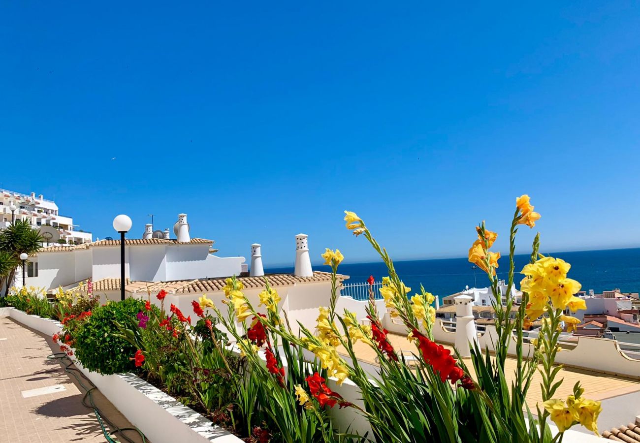 Apartamento en Albufeira - Albufeira, Sea View (25)