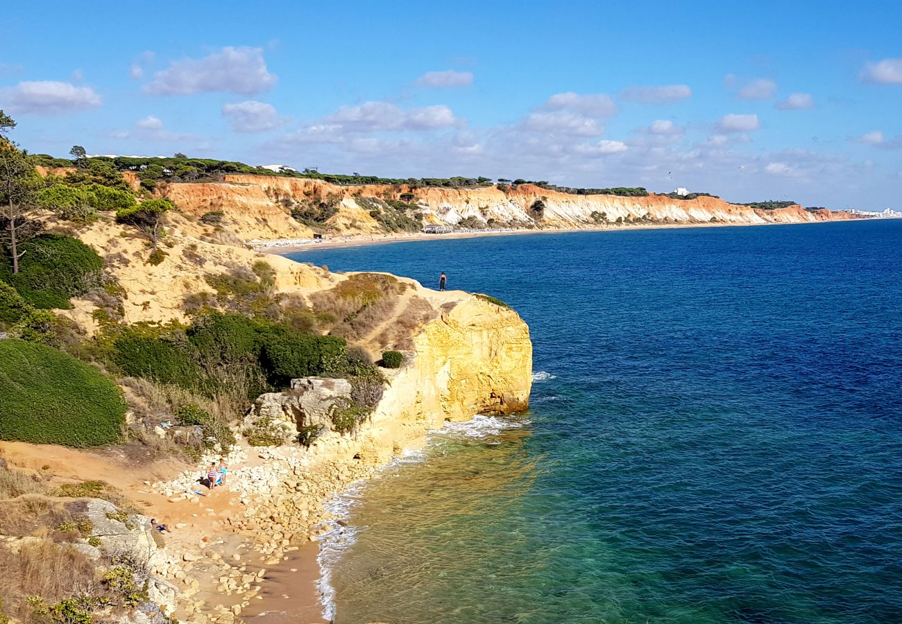 Apartamento en Albufeira - Apartamento amantes de la playa (26)