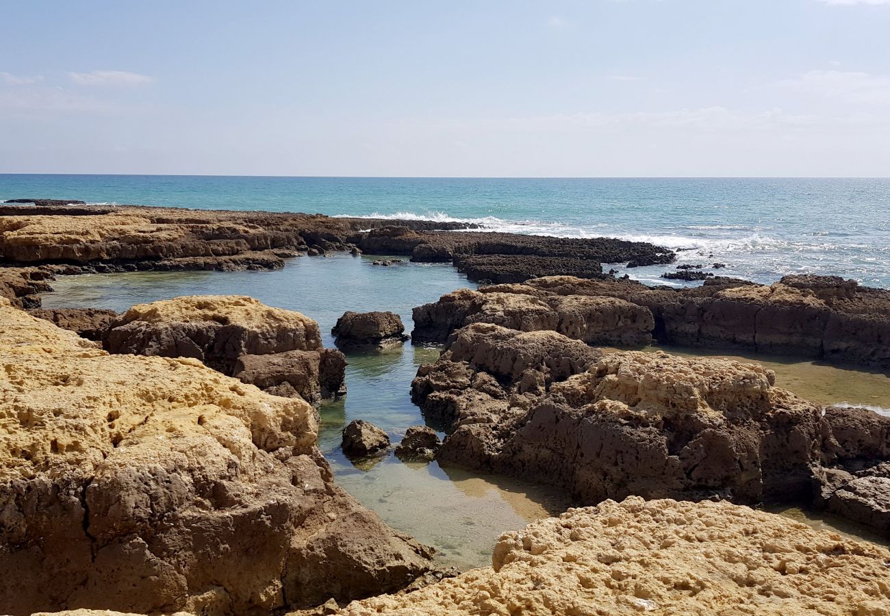 Apartamento en Albufeira - Apartamento amantes de la playa (26)