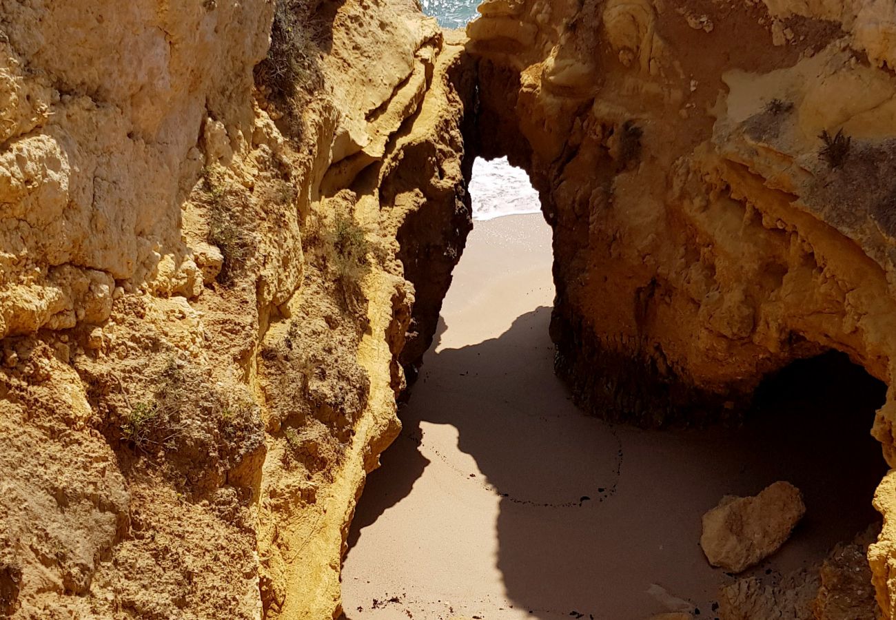 Apartamento en Albufeira - Apartamento amantes de la playa (26)