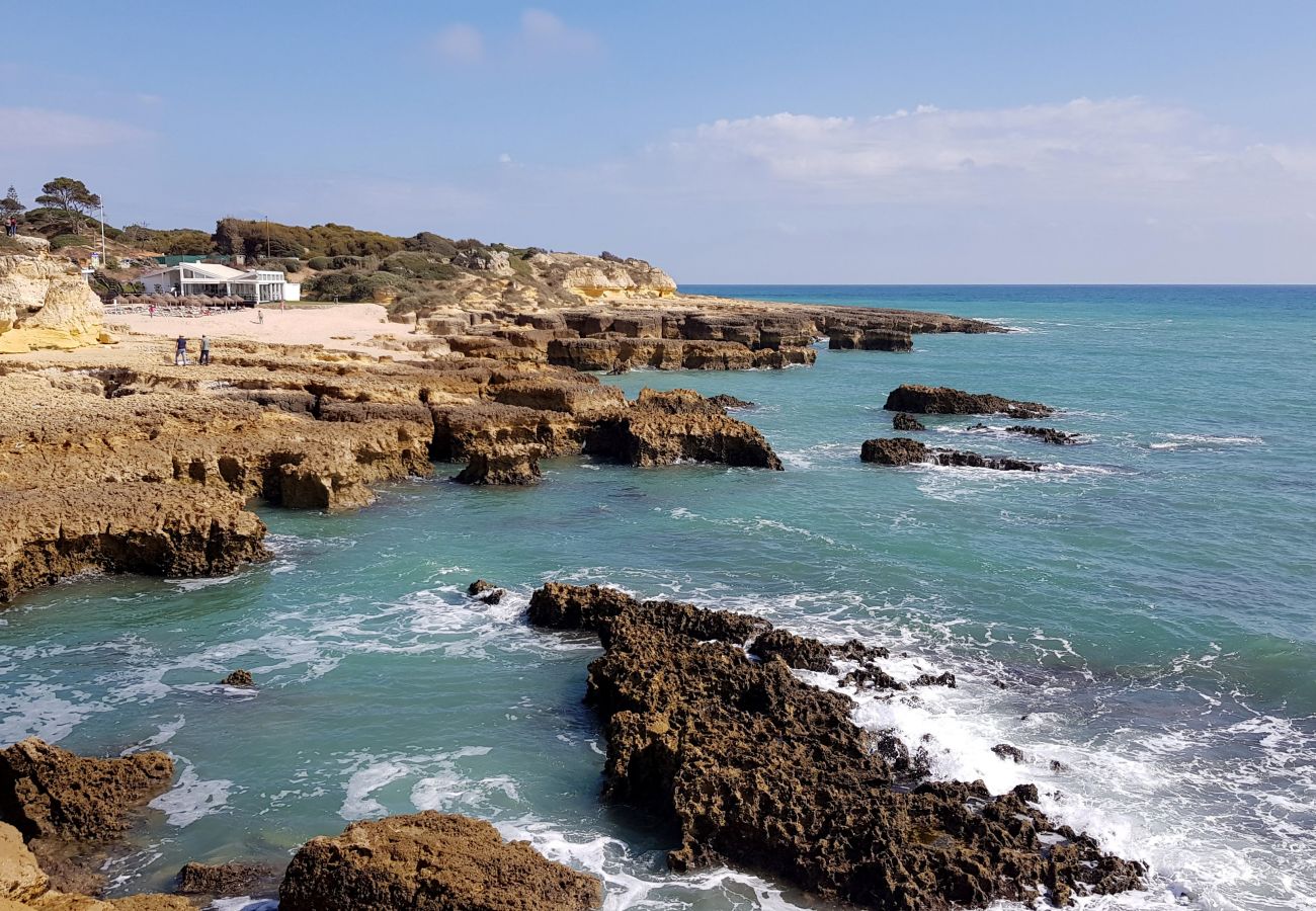 Apartamento en Albufeira - Apartamento amantes de la playa (26)