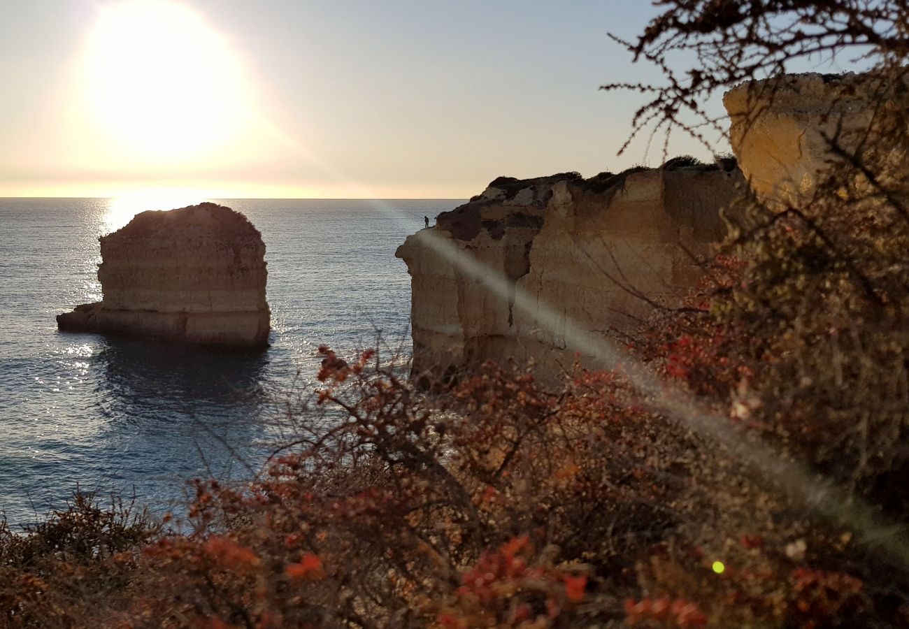 Apartamento en Albufeira - Apartamento amantes de la playa (26)