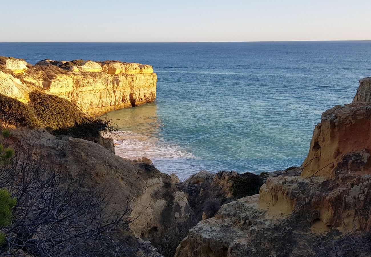 Apartamento en Albufeira - Apartamento amantes de la playa (26)