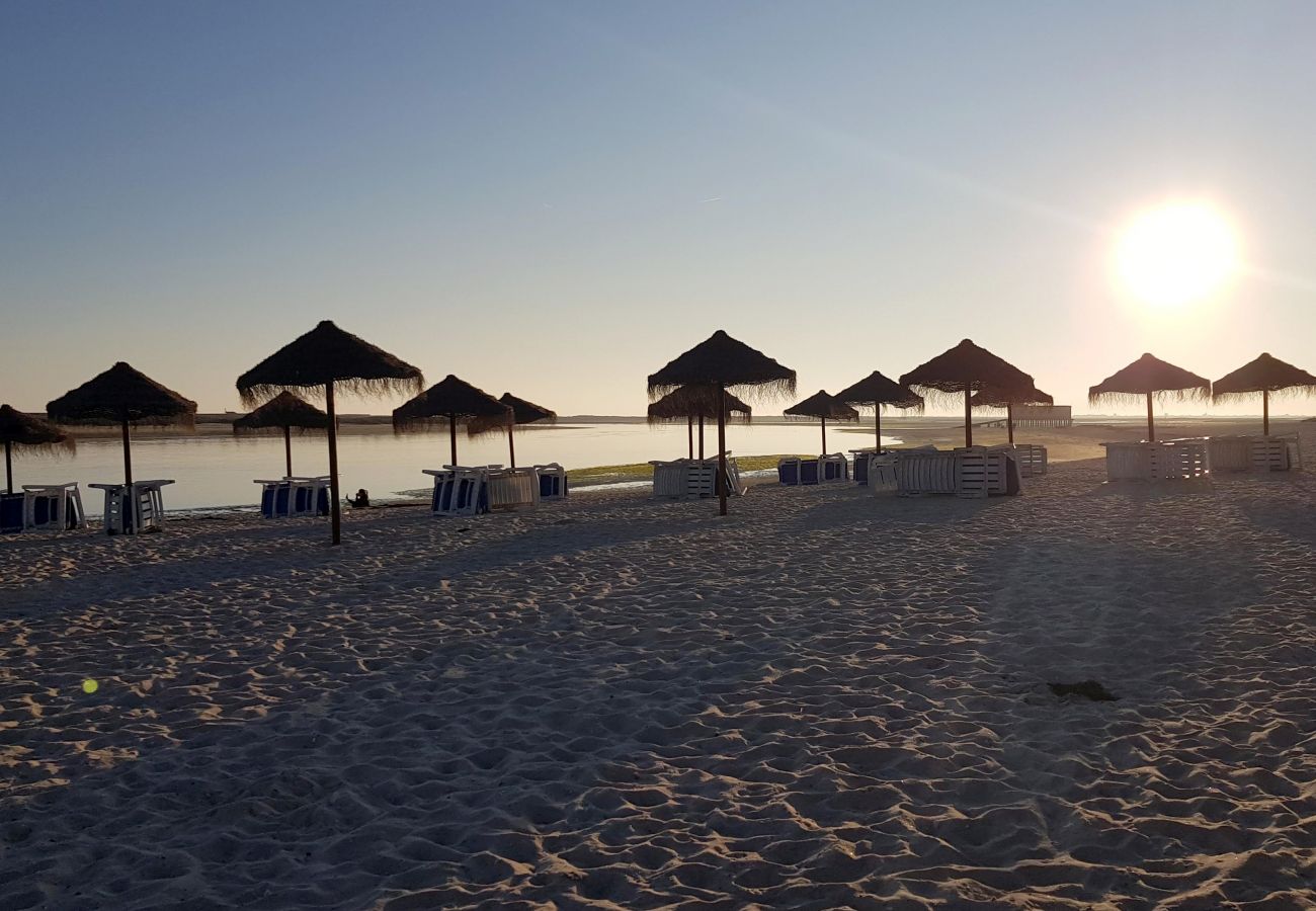 Apartamento en Albufeira - Apartamento amantes de la playa (26)