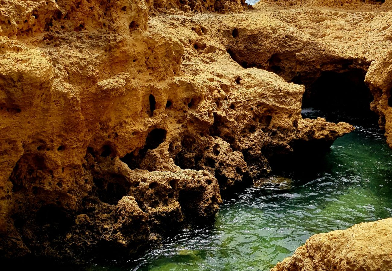 Apartamento en Albufeira - Apartamento amantes de la playa (26)