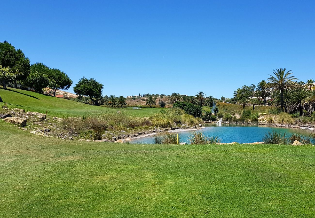 Apartamento en Albufeira - Apartamento amantes de la playa (26)