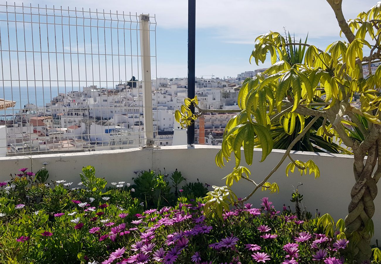 Apartamento en Albufeira - Apartamento amantes de la playa (26)