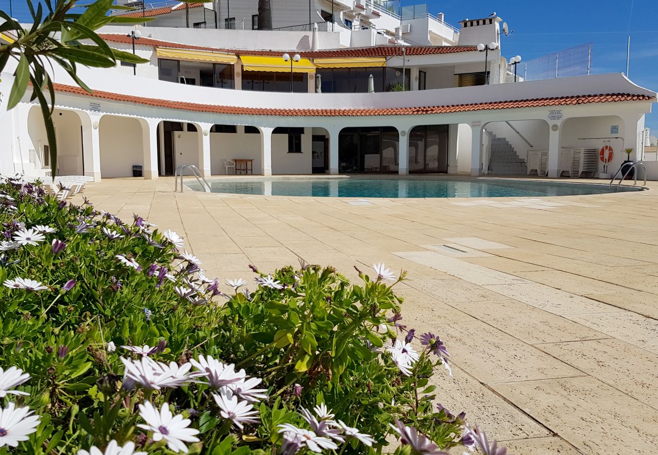 Apartamento en Albufeira - Apartamento amantes de la playa (26)