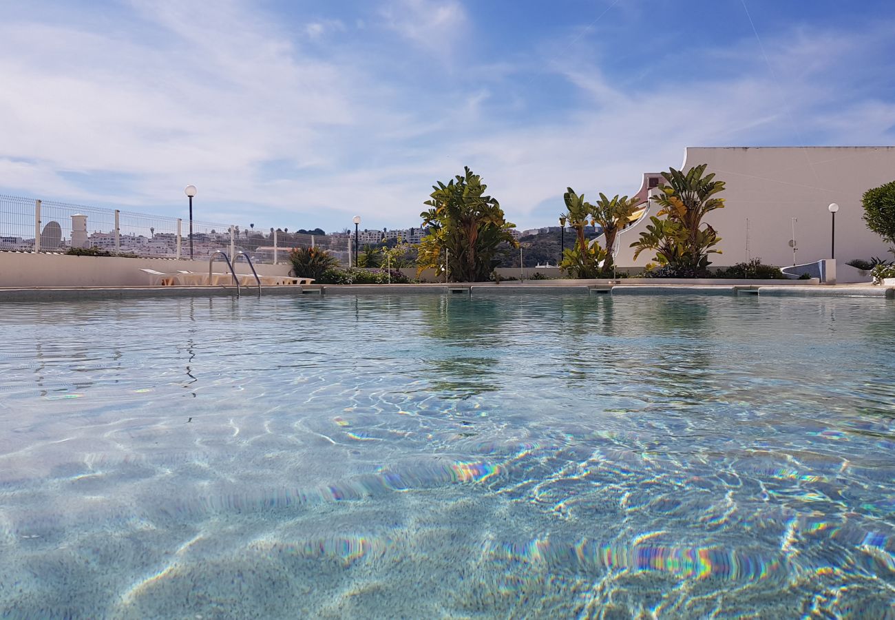 Apartamento en Albufeira - Apartamento amantes de la playa (26)