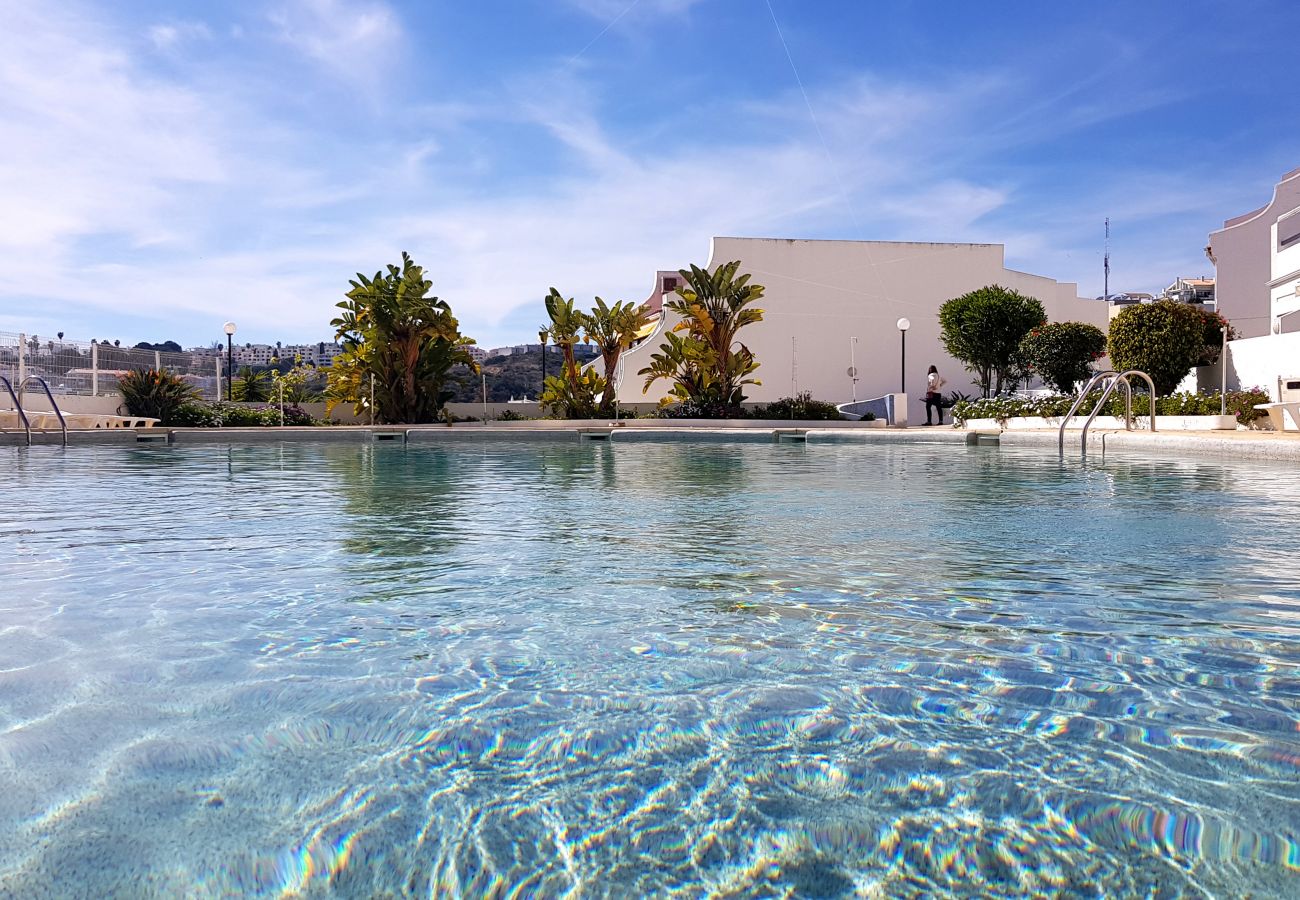 Apartamento en Albufeira - Apartamento amantes de la playa (26)