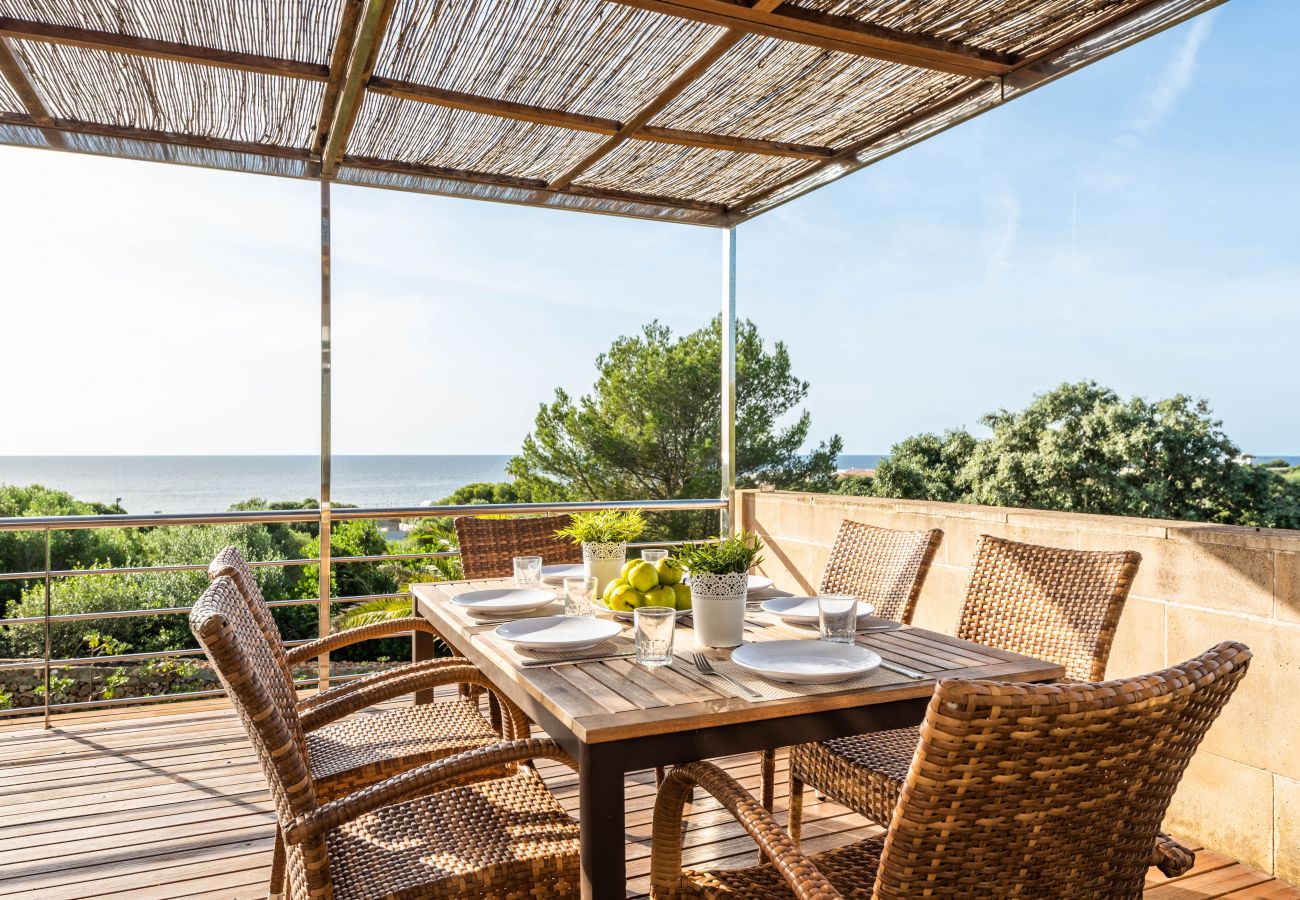 Terraza