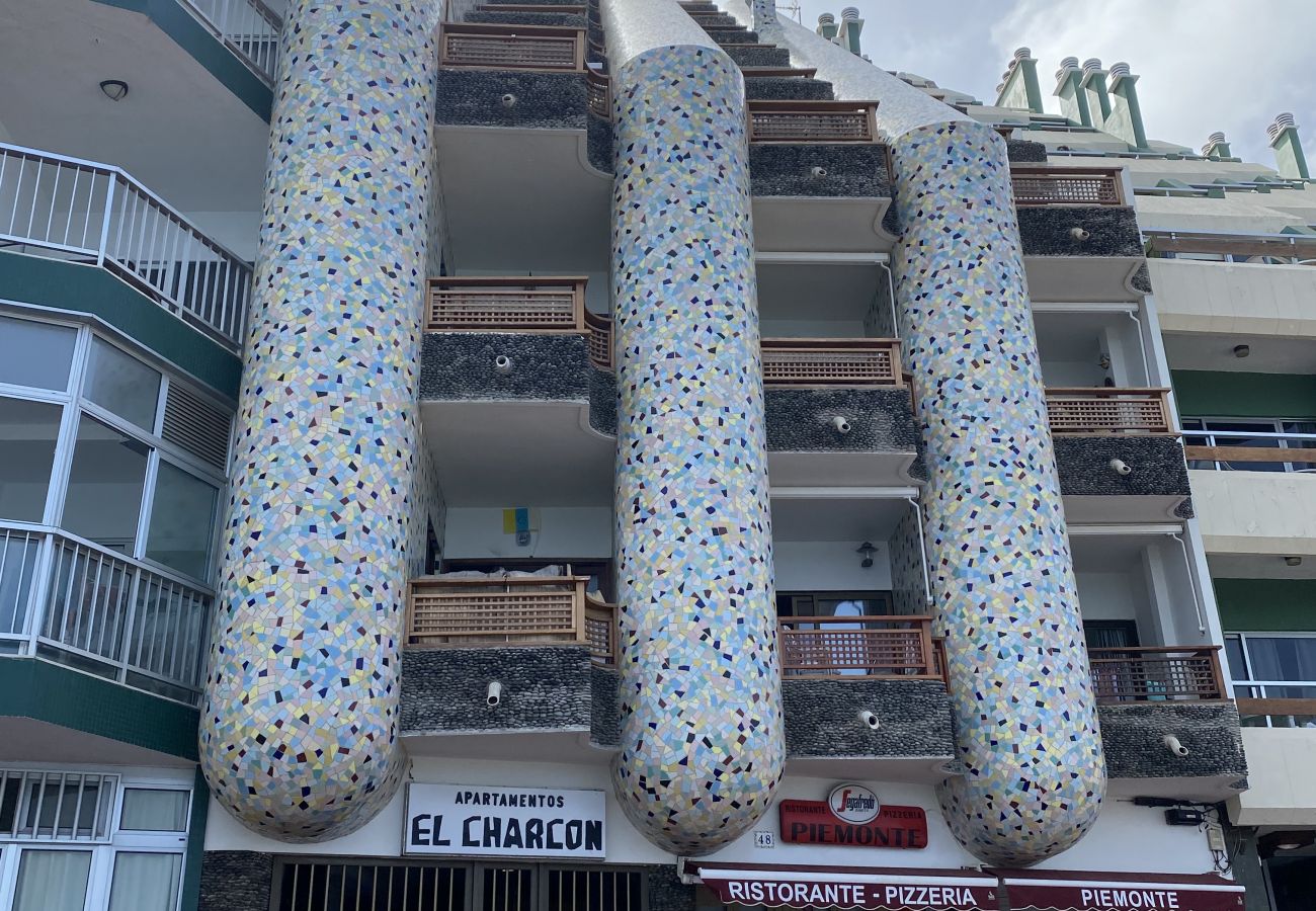 Estudio en Las Palmas de Gran Canaria - Aquarium Las Canteras by CanariasGetAway