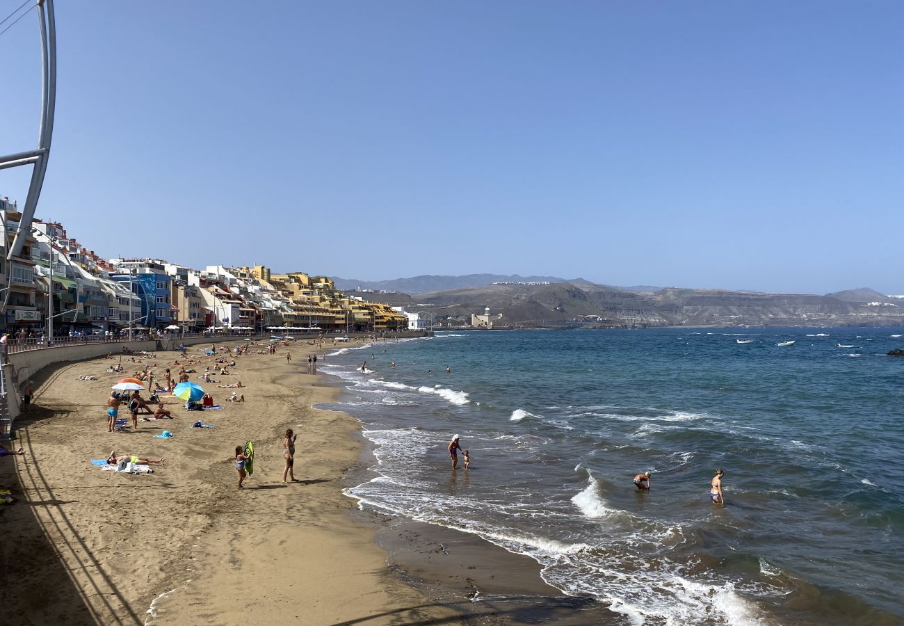 Estudio en Las Palmas de Gran Canaria - Aquarium Las Canteras by CanariasGetAway