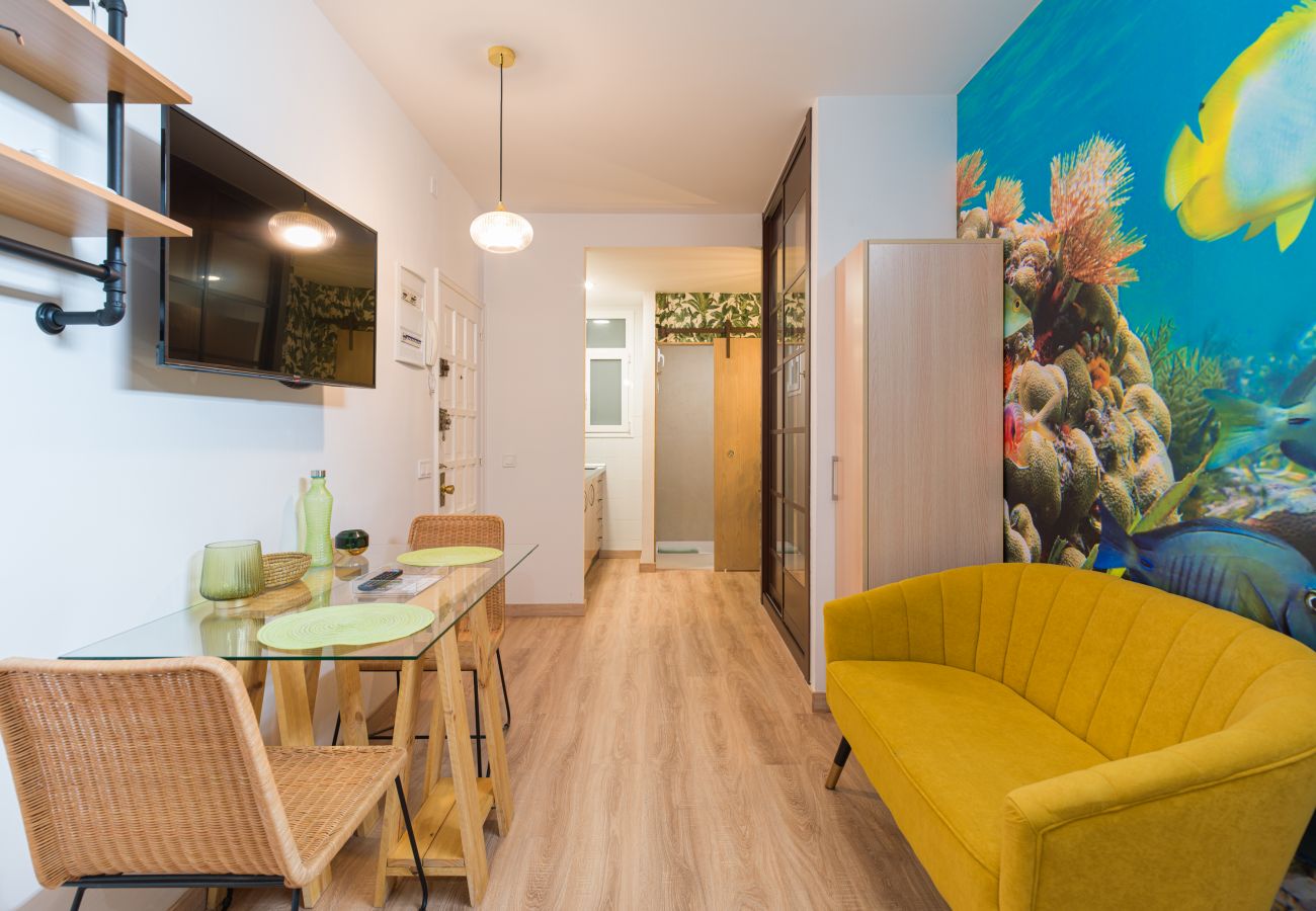 Estudio en Las Palmas de Gran Canaria - Aquarium Las Canteras by CanariasGetAway