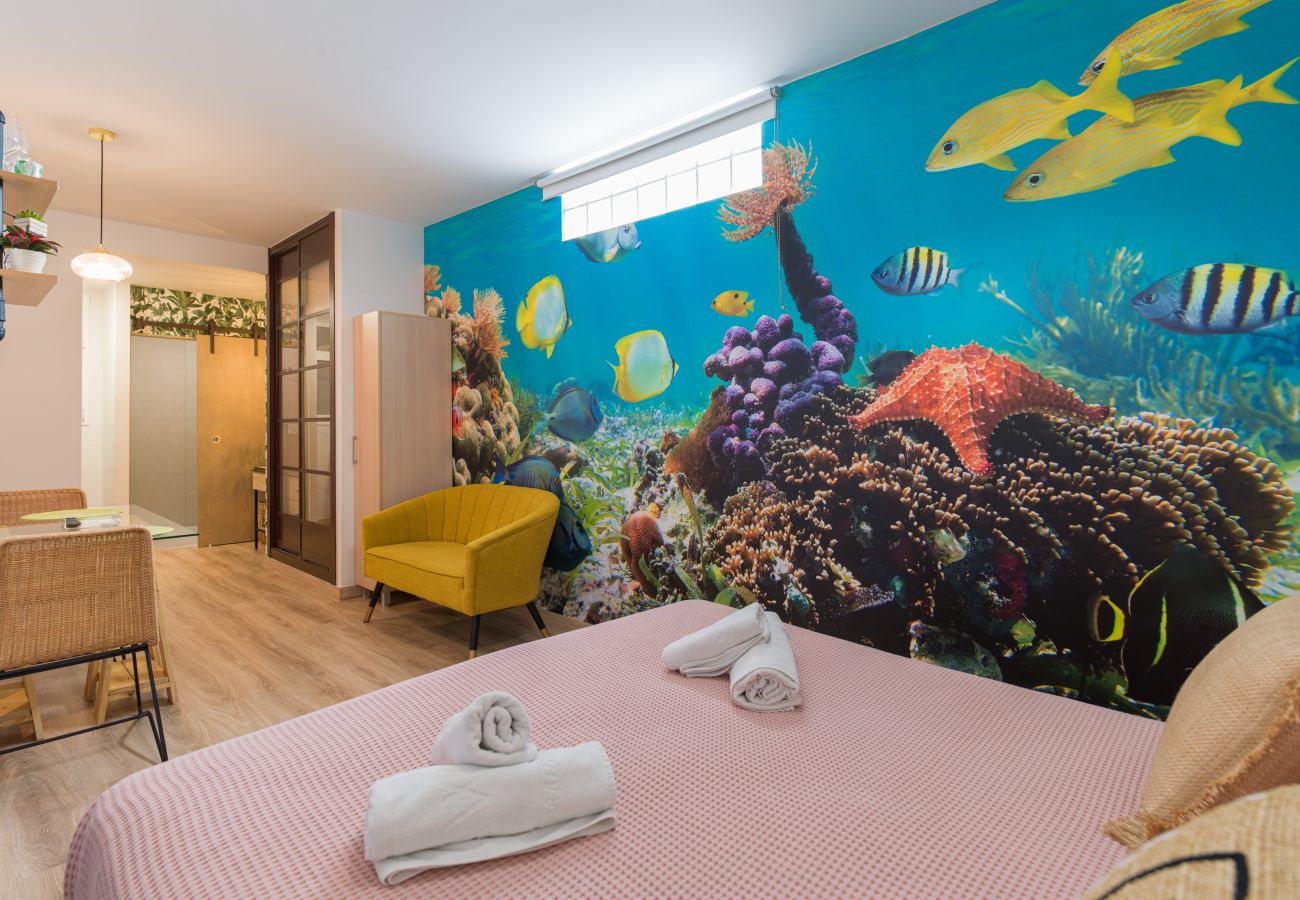 Estudio en Las Palmas de Gran Canaria - Aquarium Las Canteras by CanariasGetAway