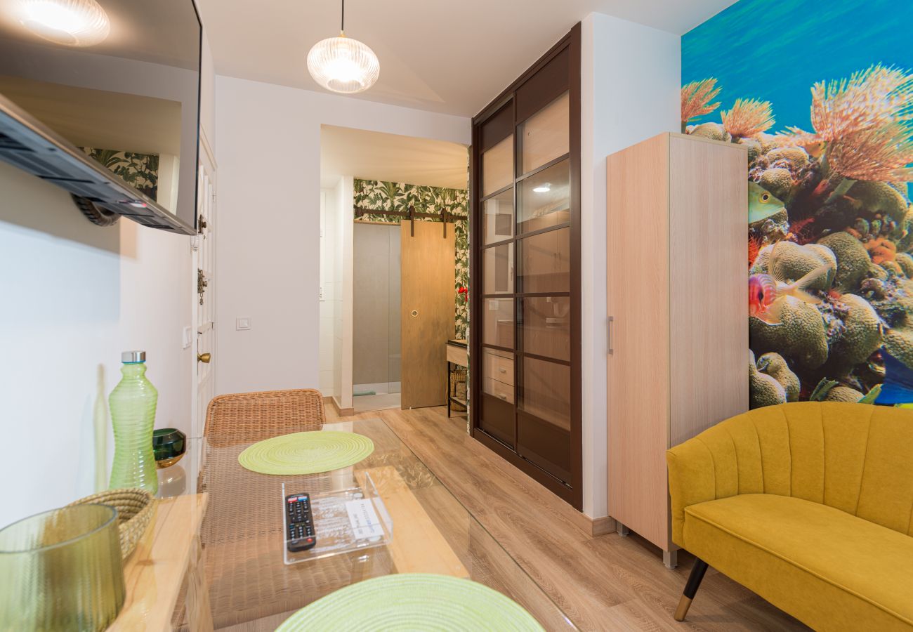 Estudio en Las Palmas de Gran Canaria - Aquarium Las Canteras by CanariasGetAway