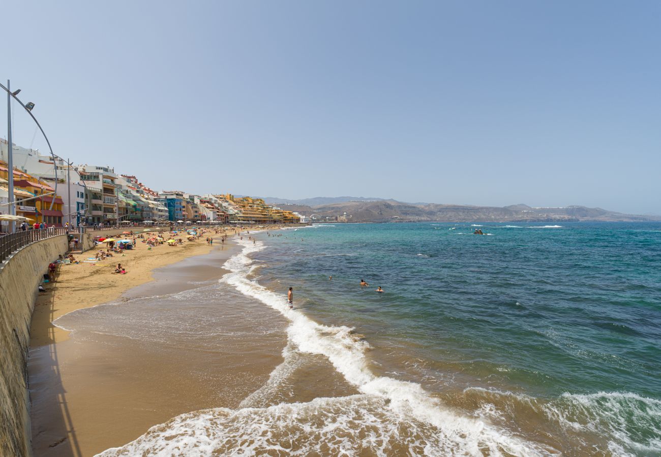 Estudio en Las Palmas de Gran Canaria - Aquarium Las Canteras by CanariasGetAway