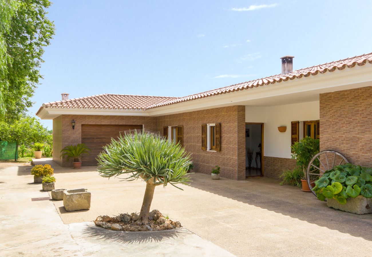 Terraza