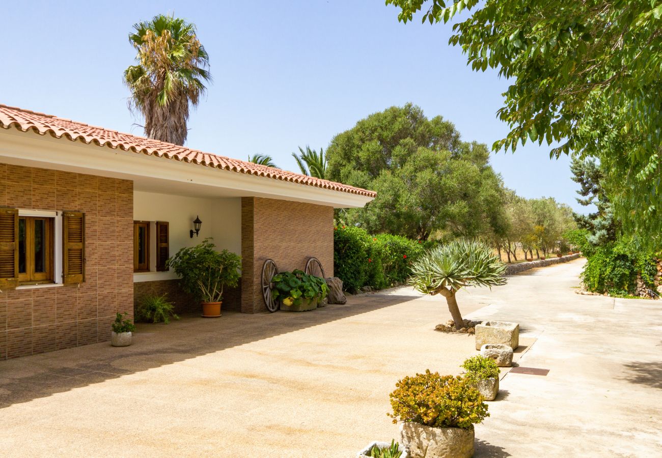 Terraza