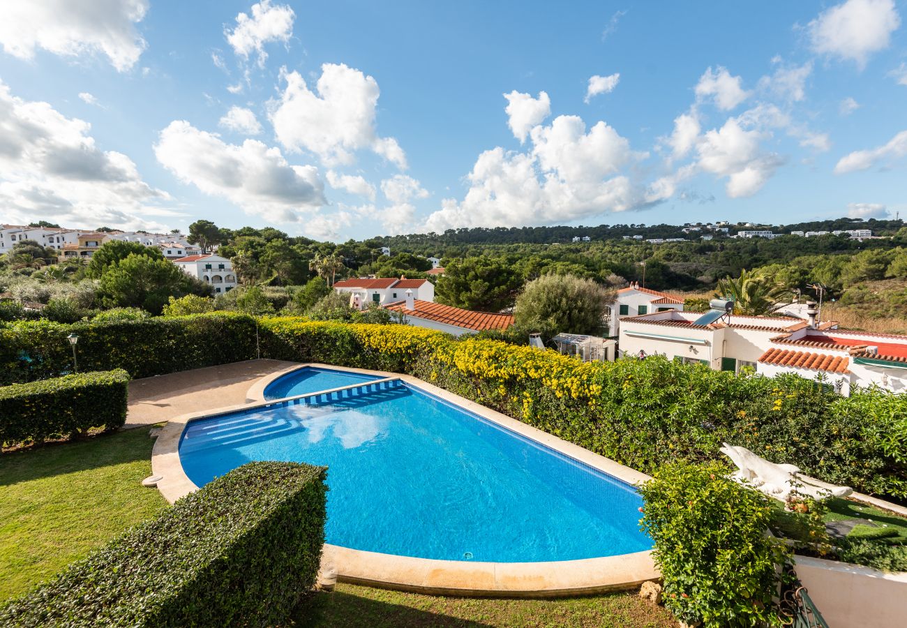 Piscina jardín