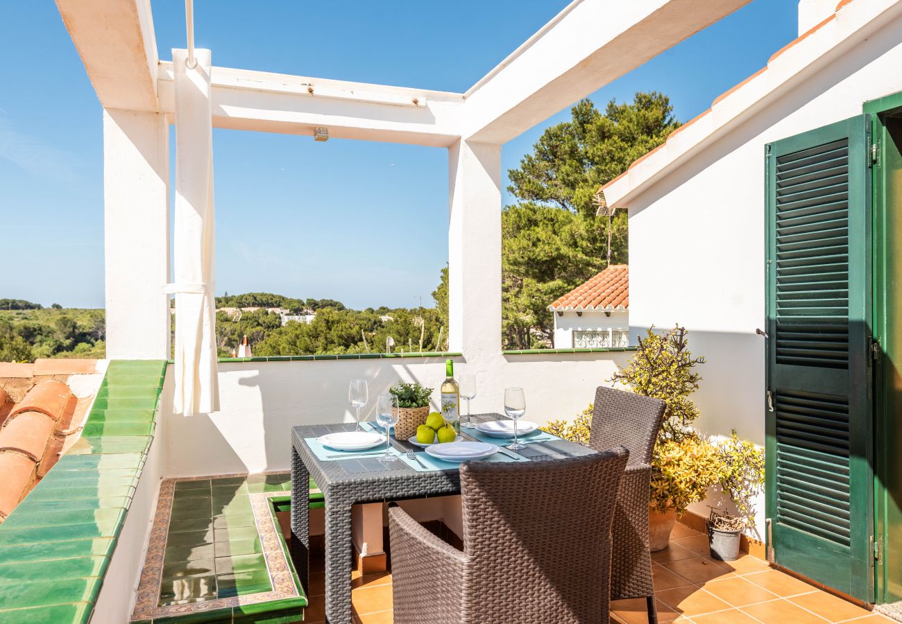 Terraza